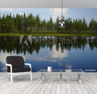 Picture of Landscape forest lake with reflection of clouds in the sky and pine trees on the beach summer